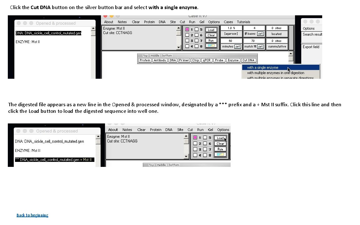 Click the Cut DNA button on the silver button bar and select with a