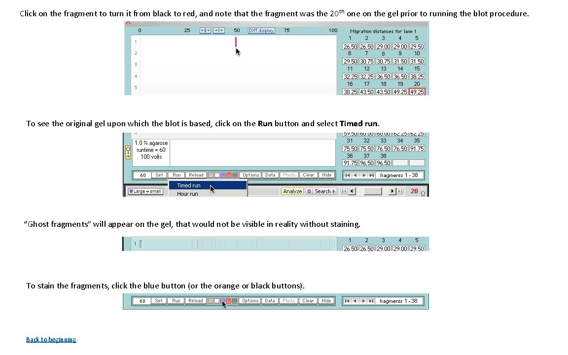 Click on the fragment to turn it from black to red, and note that