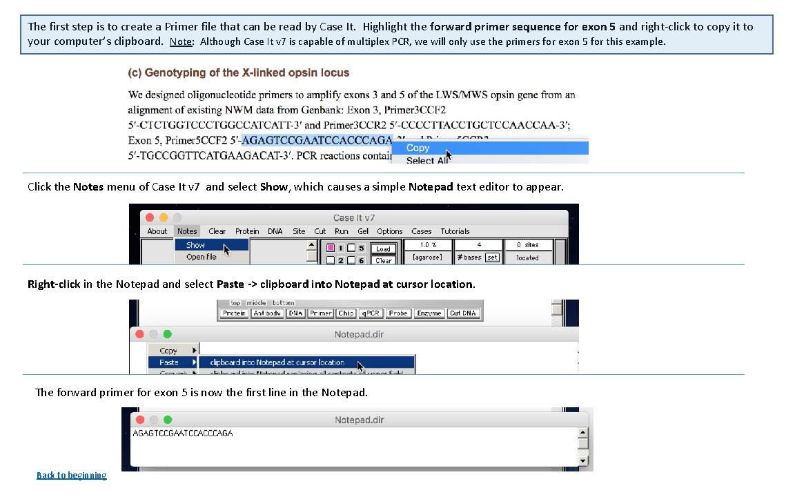 The first step is to create a Primer file that can be read by