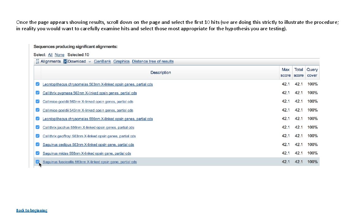 Once the page appears showing results, scroll down on the page and select the