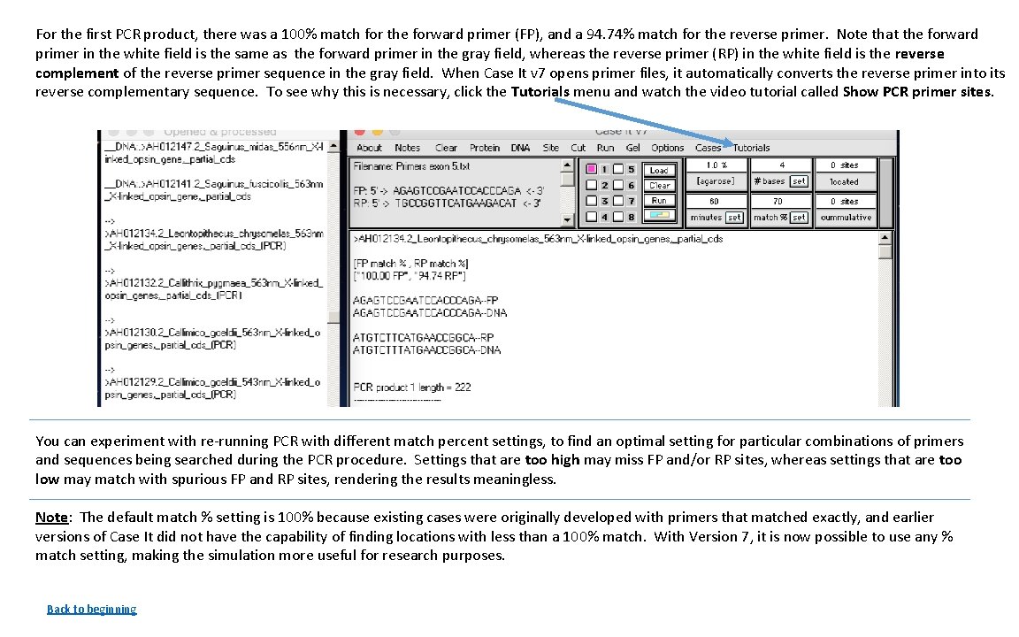 For the first PCR product, there was a 100% match for the forward primer