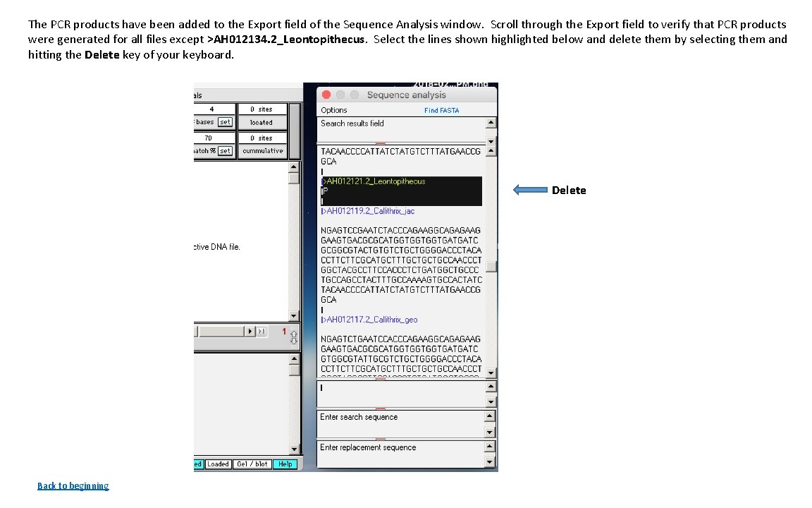The PCR products have been added to the Export field of the Sequence Analysis