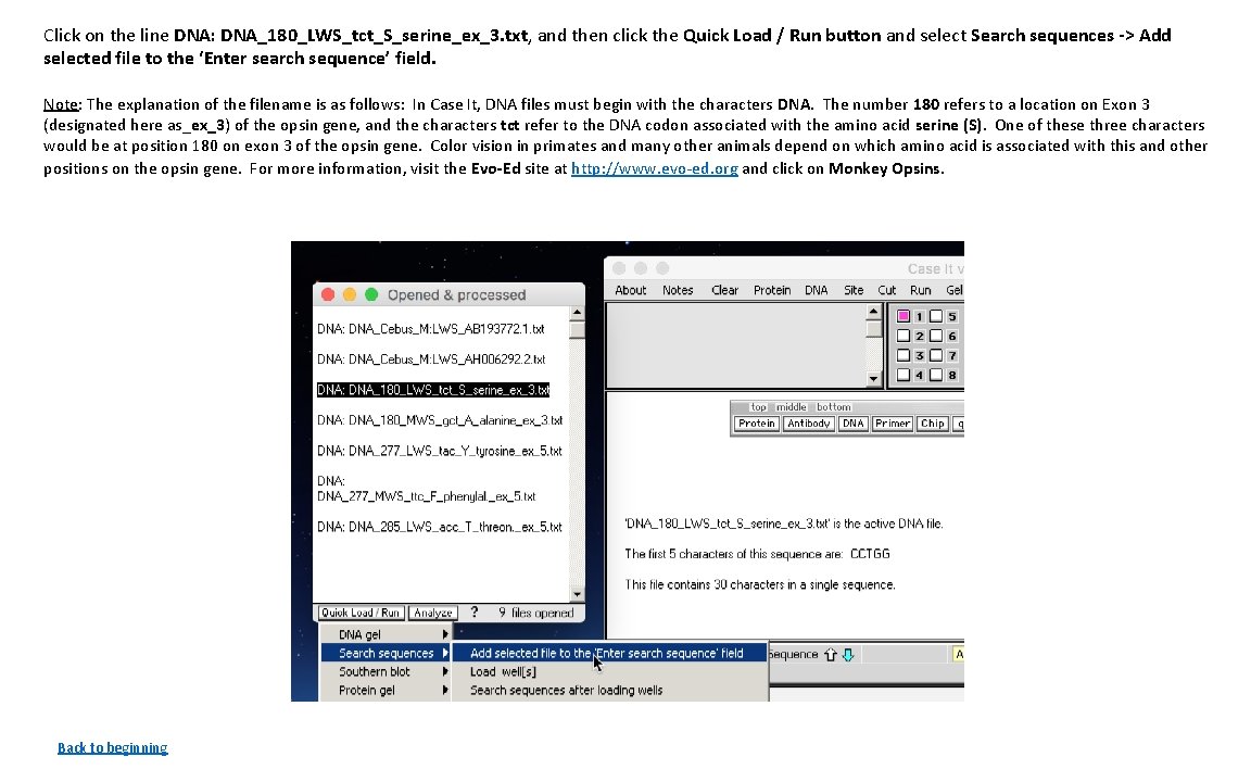 Click on the line DNA: DNA_180_LWS_tct_S_serine_ex_3. txt, and then click the Quick Load /