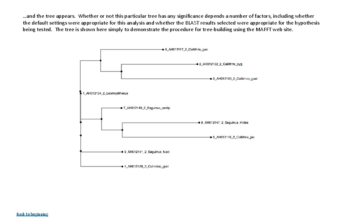 …and the tree appears. Whether or not this particular tree has any significance depends