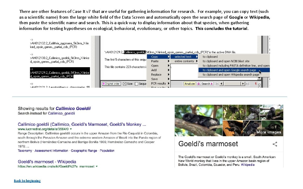 There are other features of Case It v 7 that are useful for gathering