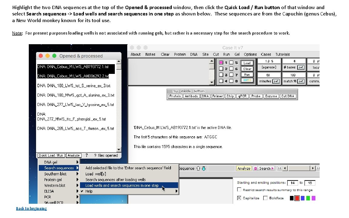 Highlight the two DNA sequences at the top of the Opened & processed window,