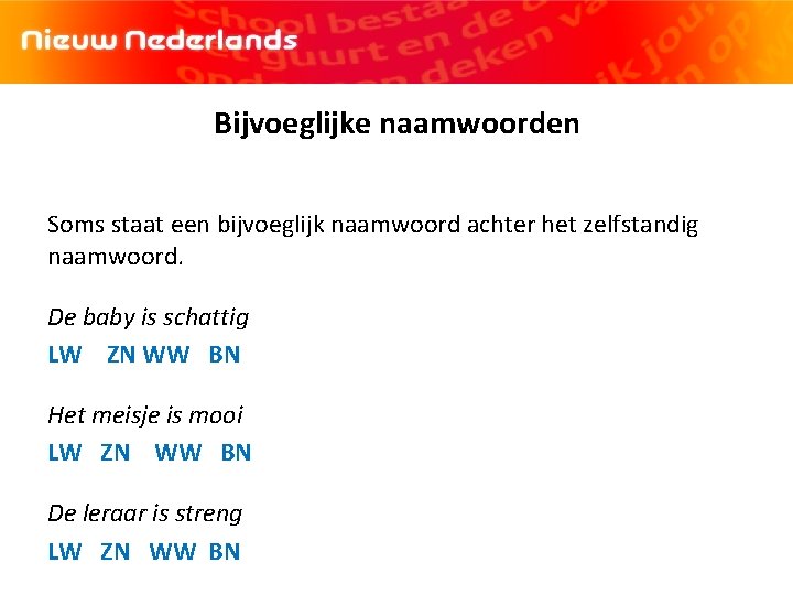 Bijvoeglijke naamwoorden Soms staat een bijvoeglijk naamwoord achter het zelfstandig naamwoord. De baby is