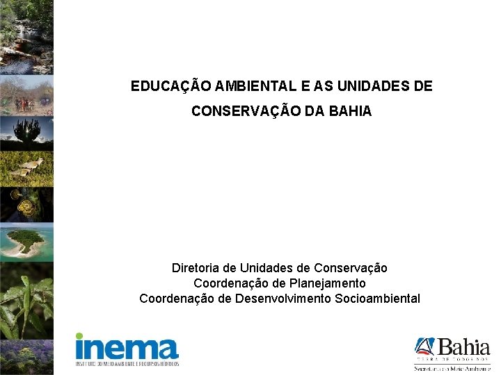 EDUCAÇÃO AMBIENTAL E AS UNIDADES DE CONSERVAÇÃO DA BAHIA Diretoria de Unidades de Conservação