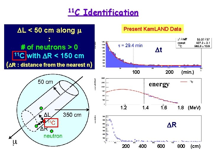11 C Identification DL < 50 cm along m : # of neutrons >