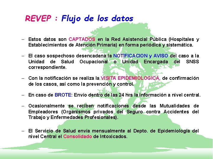 REVEP : Flujo de los datos – Estos datos son CAPTADOS en la Red