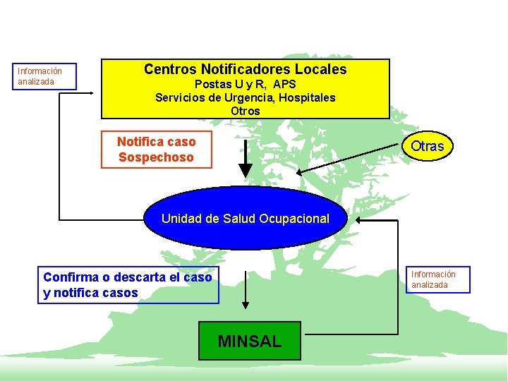 Información analizada Centros Notificadores Locales Postas U y R, APS Servicios de Urgencia, Hospitales