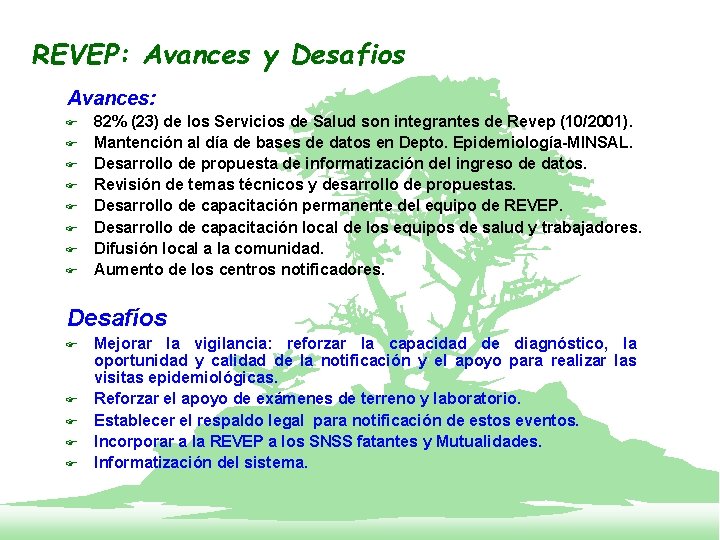 REVEP: Avances y Desafios Avances: F F F F 82% (23) de los Servicios