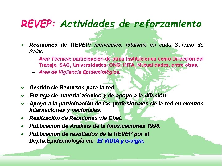 REVEP: Actividades de reforzamiento F Reuniones de REVEP: mensuales, rotativas en cada Servicio de