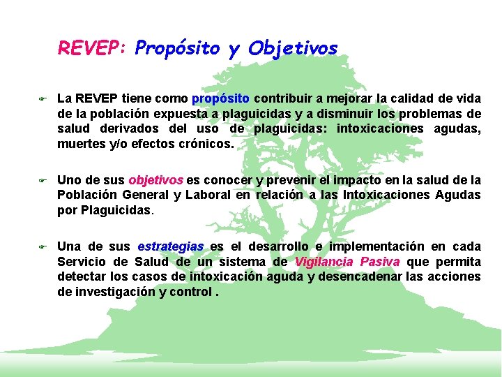 REVEP: Propósito y Objetivos F La REVEP tiene como propósito contribuir a mejorar la