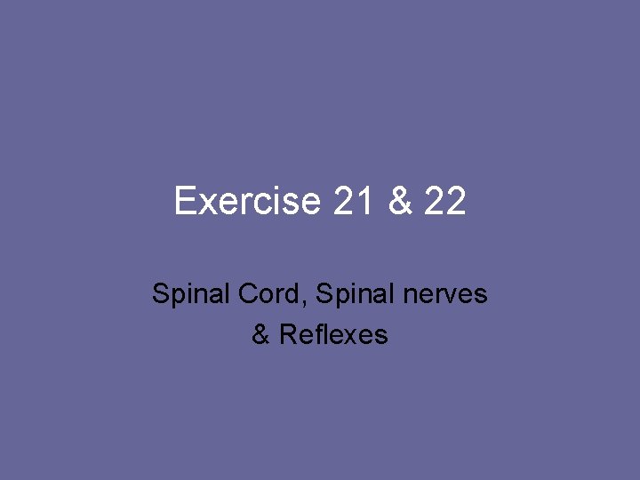 Exercise 21 & 22 Spinal Cord, Spinal nerves & Reflexes 