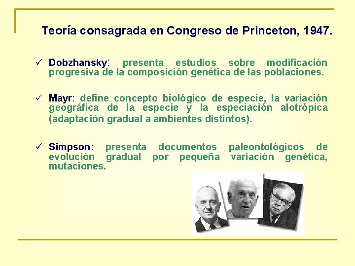 Teoría consagrada en Congreso de Princeton, 1947. ü Dobzhansky: presenta estudios sobre modificación progresiva