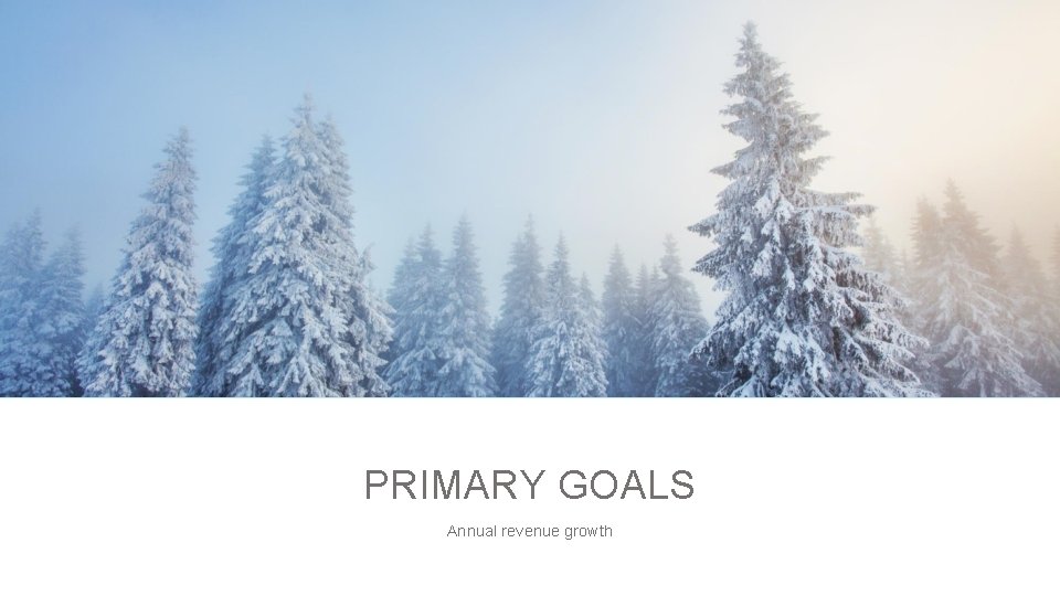 PRIMARY GOALS Annual revenue growth 