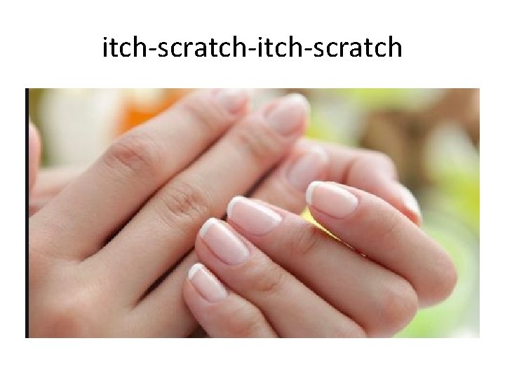 itch-scratch-itch-scratch itch-scratch-itch-scratch