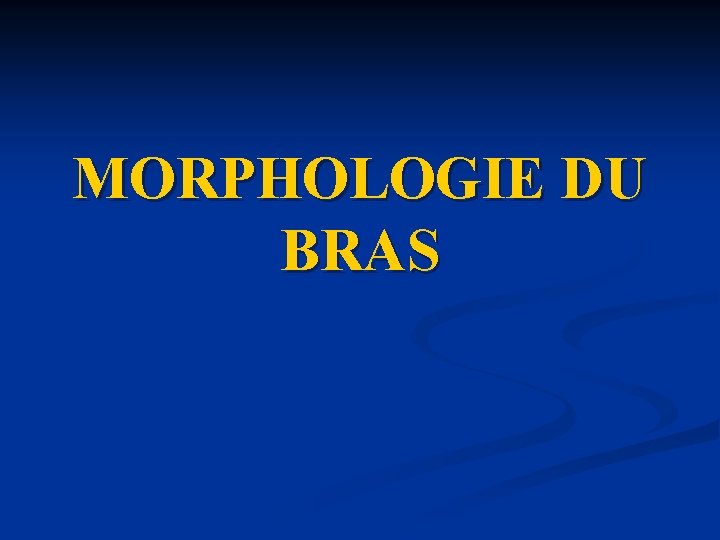 MORPHOLOGIE DU BRAS 