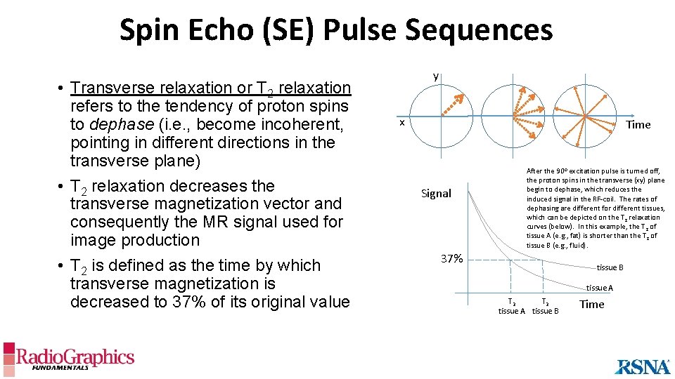Spin Echo (SE) Pulse Sequences • Transverse relaxation or T 2 relaxation refers to