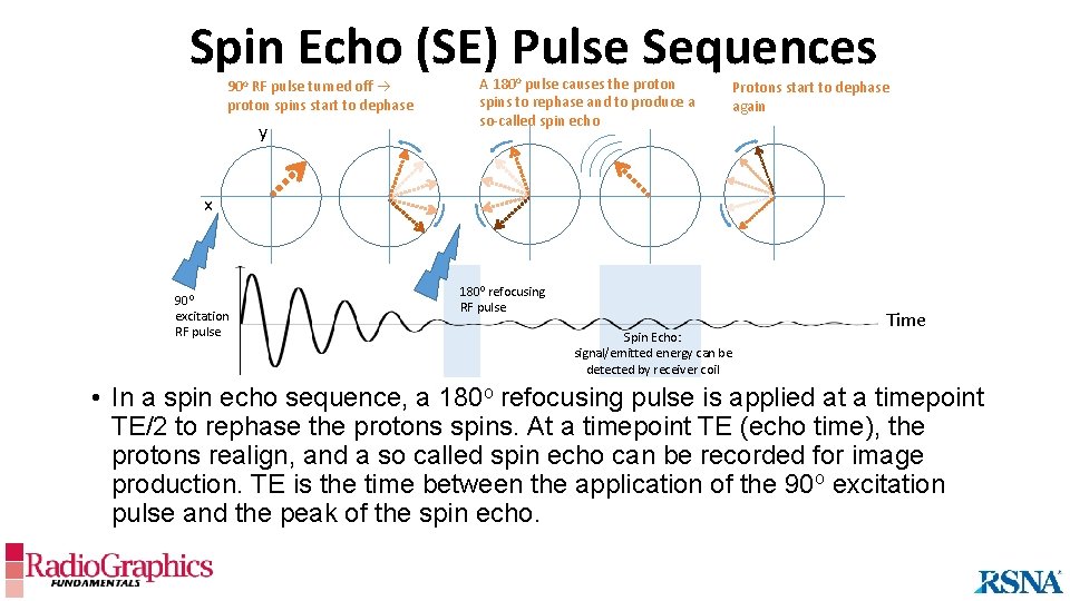 Spin Echo (SE) Pulse Sequences 90 o RF pulse turned off proton spins start