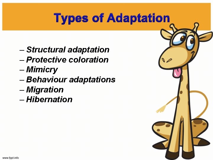 Types of Adaptation – Structural adaptation – Protective coloration – Mimicry – Behaviour adaptations