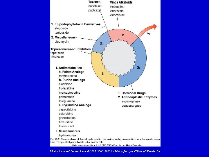 Mosby items and derived items © 2007, 2005, 2002 by Mosby, Inc. , an