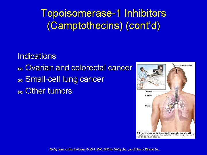 Topoisomerase-1 Inhibitors (Camptothecins) (cont’d) Indications Ovarian and colorectal cancer Small-cell lung cancer Other tumors