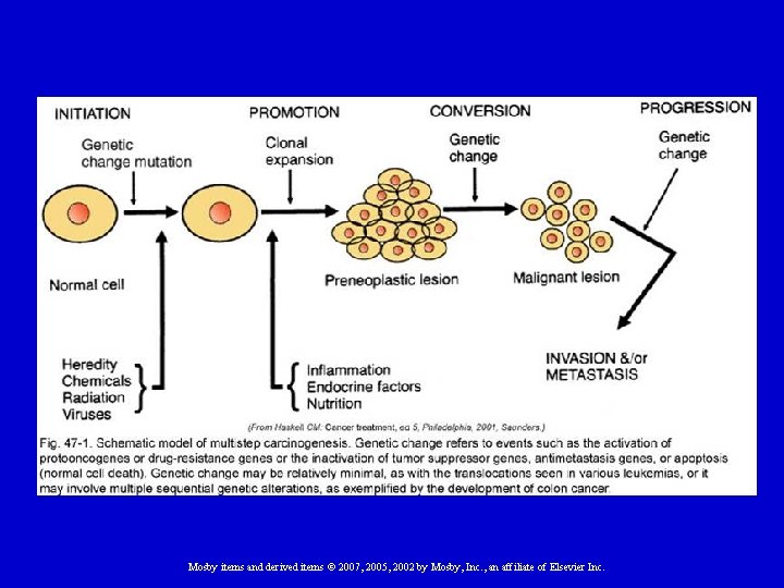 Mosby items and derived items © 2007, 2005, 2002 by Mosby, Inc. , an