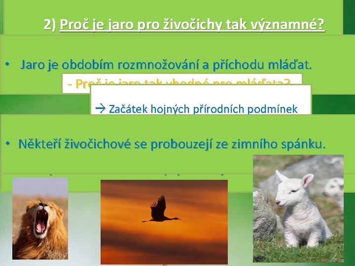 2) Proč je jaro pro živočichy tak významné? • Jaro je obdobím rozmnožování a