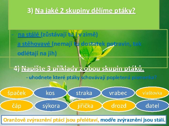 3) Na jaké 2 skupiny dělíme ptáky? - na stálé (zůstávají tu i v