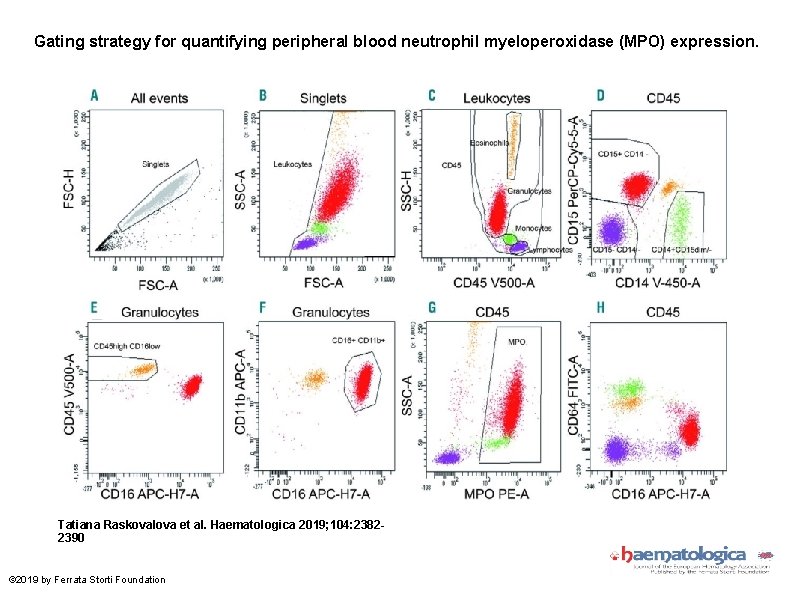 Gating strategy for quantifying peripheral blood neutrophil myeloperoxidase (MPO) expression. Tatiana Raskovalova et al.