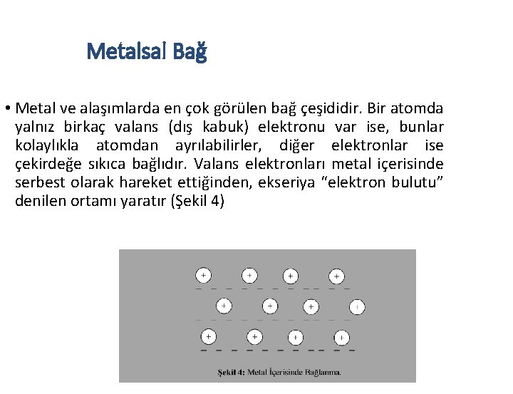 Metalsal Bağ • Metal ve alaşımlarda en çok görülen bağ çeşididir. Bir atomda yalnız