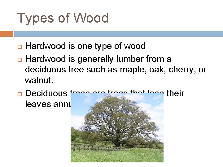 Types of Wood Hardwood is one type of wood Hardwood is generally lumber from Types of Wood Hardwood is one type of wood Hardwood is generally lumber from