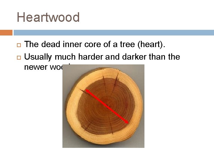 Heartwood The dead inner core of a tree (heart). Usually much harder and darker Heartwood The dead inner core of a tree (heart). Usually much harder and darker