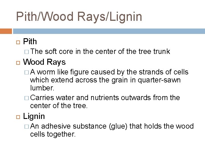 Pith/Wood Rays/Lignin Pith � The soft core in the center of the tree trunk Pith/Wood Rays/Lignin Pith � The soft core in the center of the tree trunk