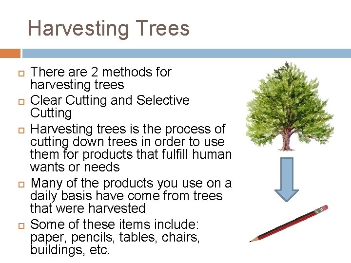 Harvesting Trees There are 2 methods for harvesting trees Clear Cutting and Selective Cutting Harvesting Trees There are 2 methods for harvesting trees Clear Cutting and Selective Cutting