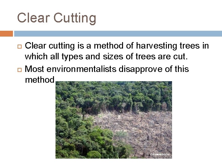 Clear Cutting Clear cutting is a method of harvesting trees in which all types Clear Cutting Clear cutting is a method of harvesting trees in which all types