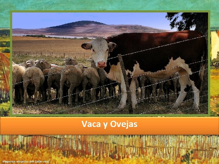 Vaca y Ovejas Imagen en wikipedia. com (Lollie- Pop) 