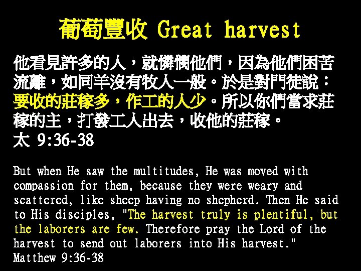 葡萄豐收 Great harvest 他看見許多的人,就憐憫他們,因為他們困苦 流離,如同羊沒有牧人一般。於是對門徒說: 要收的莊稼多,作 的人少。所以你們當求莊 稼的主,打發 人出去,收他的莊稼。 太 9: 36 -38 But 葡萄豐收 Great harvest 他看見許多的人,就憐憫他們,因為他們困苦 流離,如同羊沒有牧人一般。於是對門徒說: 要收的莊稼多,作 的人少。所以你們當求莊 稼的主,打發 人出去,收他的莊稼。 太 9: 36 -38 But