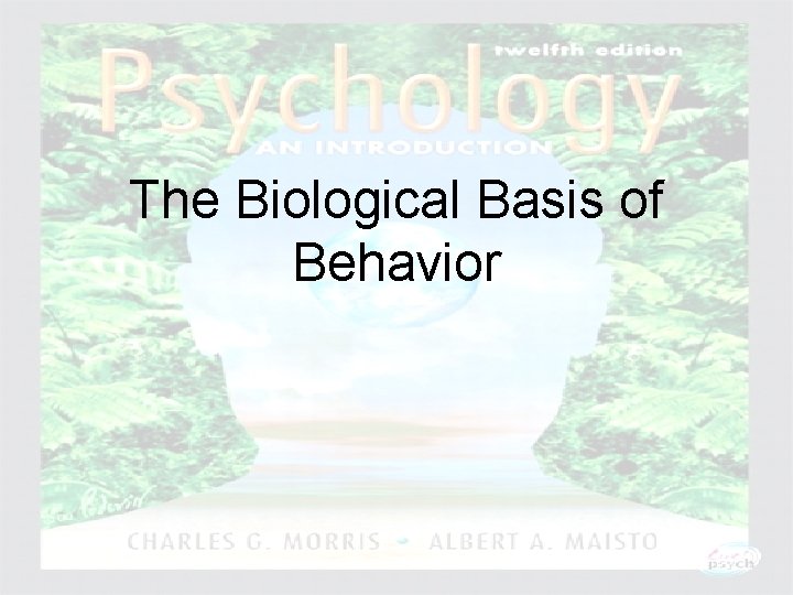 The Biological Basis of Behavior Psychology: An Introduction Charles A. Morris & Albert A.