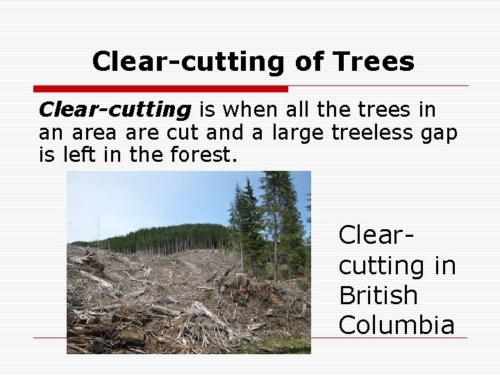 Clear-cutting of Trees Clear-cutting is when all the trees in an area are cut