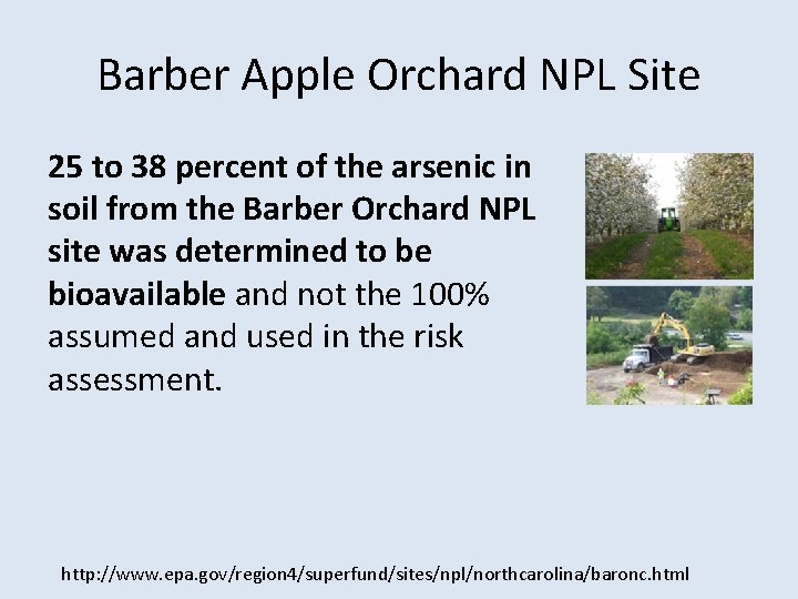 Barber Apple Orchard NPL Site 25 to 38 percent of the arsenic in soil