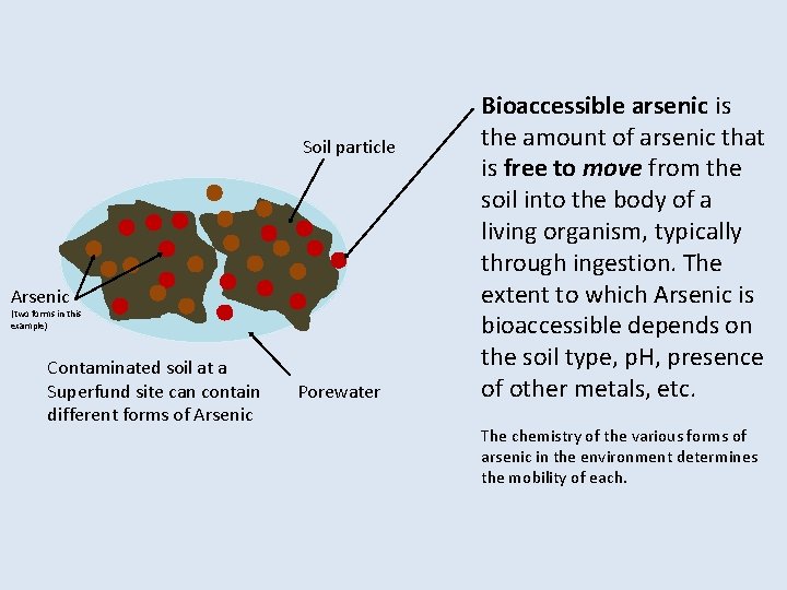 Soil particle Arsenic (two forms in this example) Contaminated soil at a Superfund site