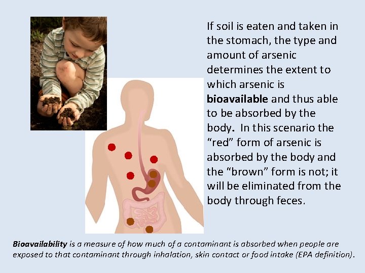 If soil is eaten and taken in the stomach, the type and amount of