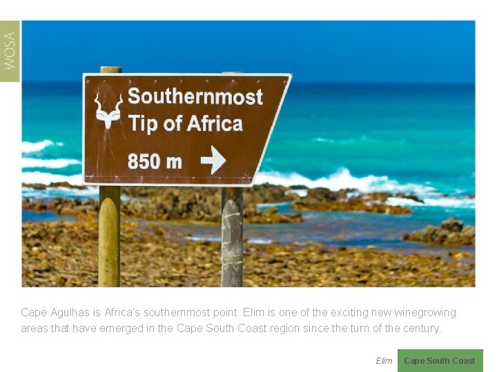 Cape Agulhas is Africa’s southernmost point. Elim is one of the exciting new winegrowing