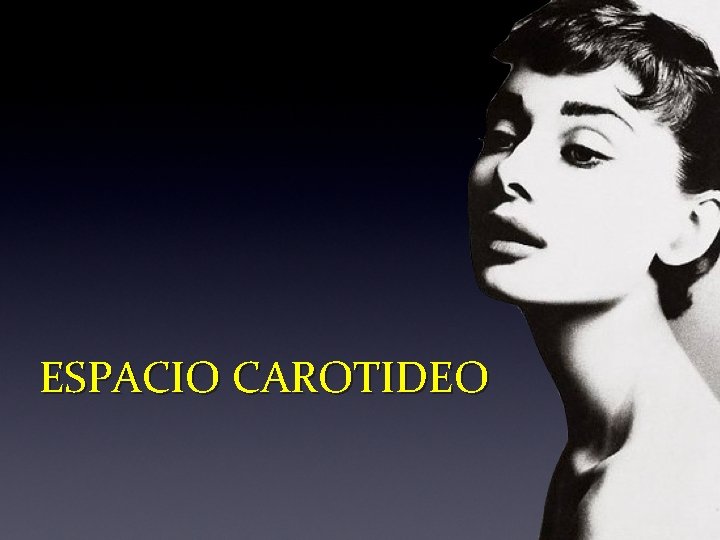 ESPACIO CAROTIDEO ESPACIO CAROTIDEO