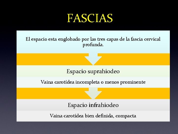 FASCIAS El espacio esta englobado por las tres capas de la fascia cervical profunda. FASCIAS El espacio esta englobado por las tres capas de la fascia cervical profunda.