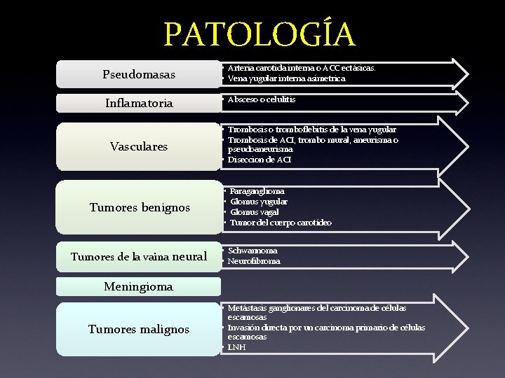 PATOLOGÍA Pseudomasas • Arteria carotida interna o ACC ectásicas. • Vena yugular interna asimetrica PATOLOGÍA Pseudomasas • Arteria carotida interna o ACC ectásicas. • Vena yugular interna asimetrica