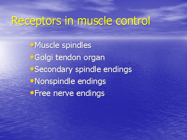 Receptors in muscle control • Muscle spindles • Golgi tendon organ • Secondary spindle